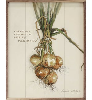 Keep Growing Onions By Bonnie Mohr